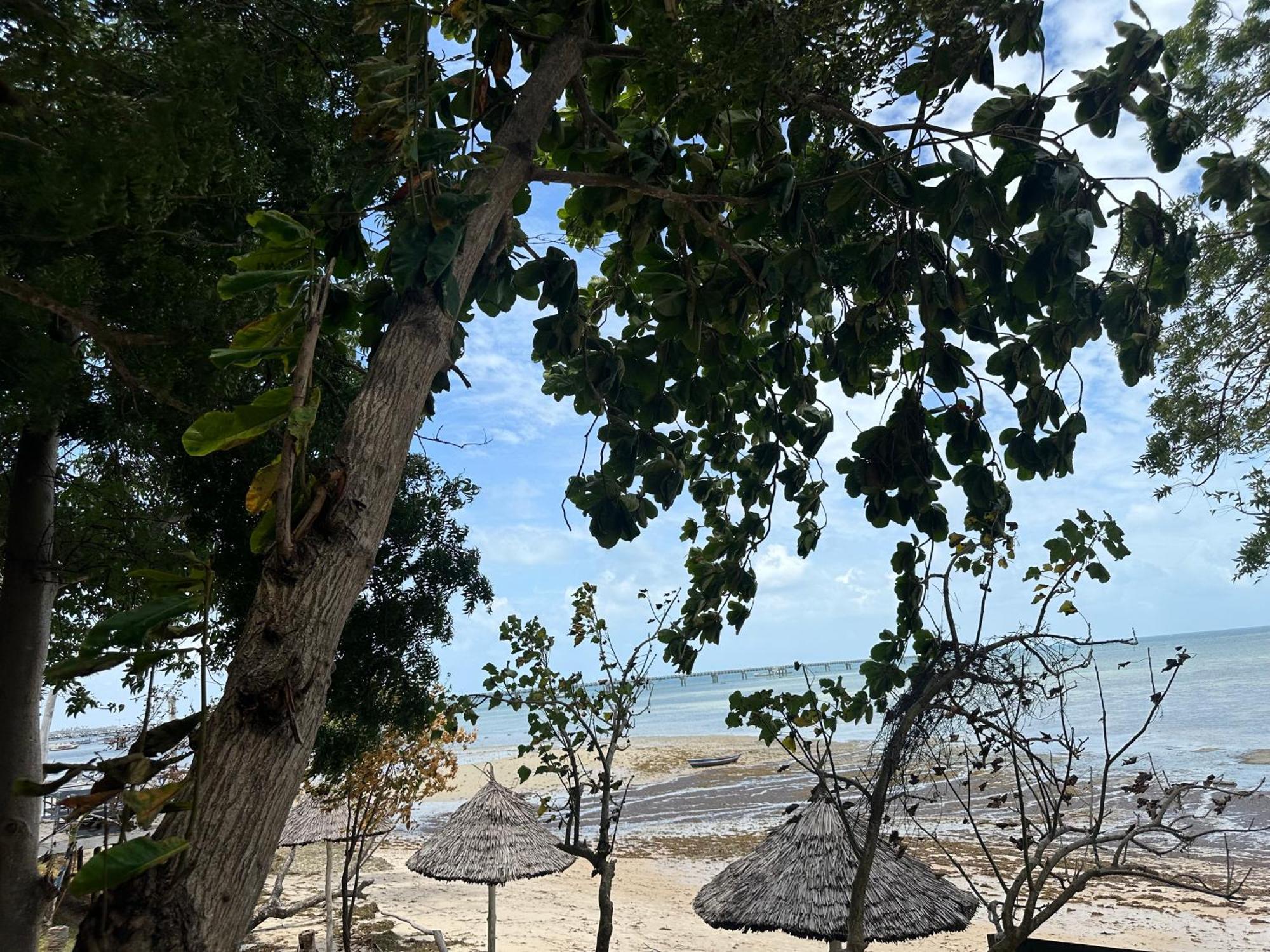 Maweni Beach Bungalows Kilindoni Buitenkant foto